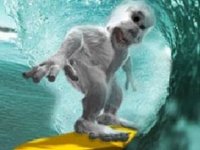 BigWave Surfing Game Online