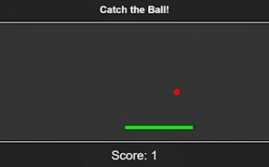 Paddle Catch Challenge