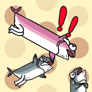 Save Stranding Fish Online Puzzle Game