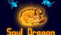 Soul Dragon Online Arcade Game